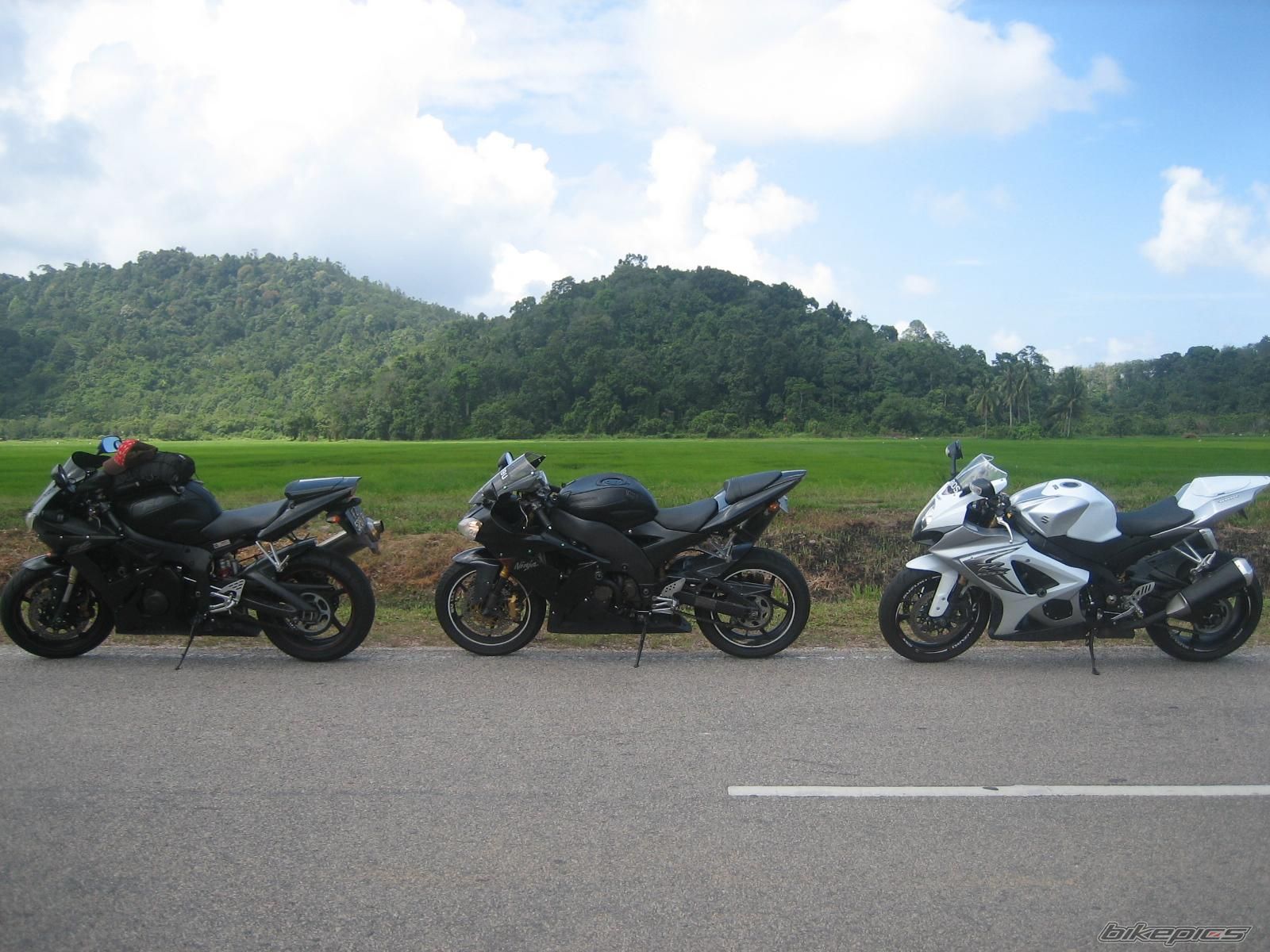 Photo 1174328