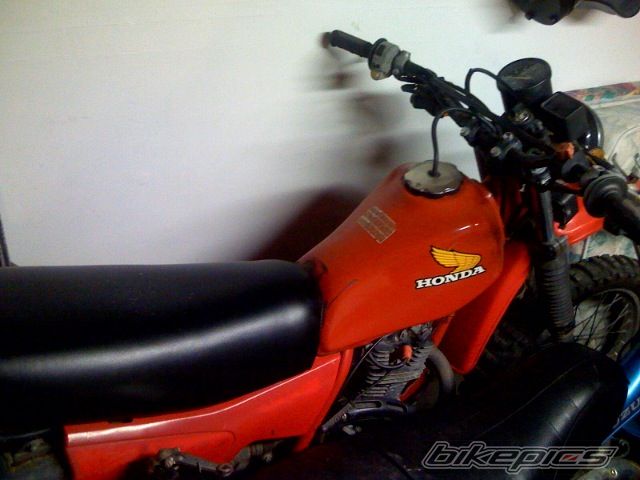 Photo 1174362