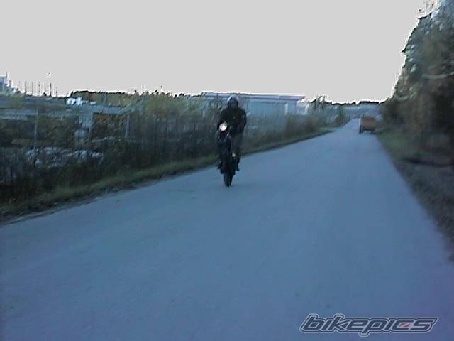 Photo 11744