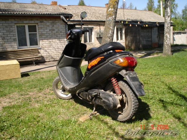 Photo 1174405