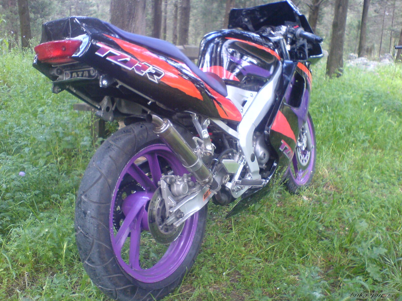 Photo 1174452