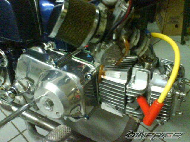 Photo 1174594