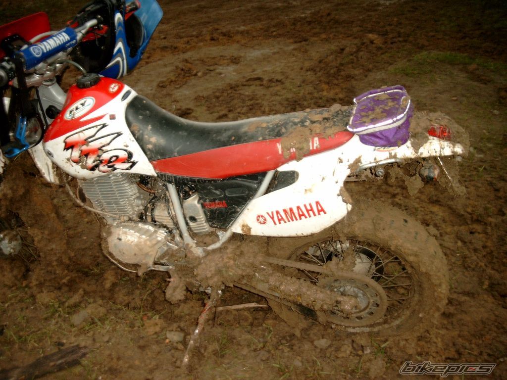 Photo 1174603
