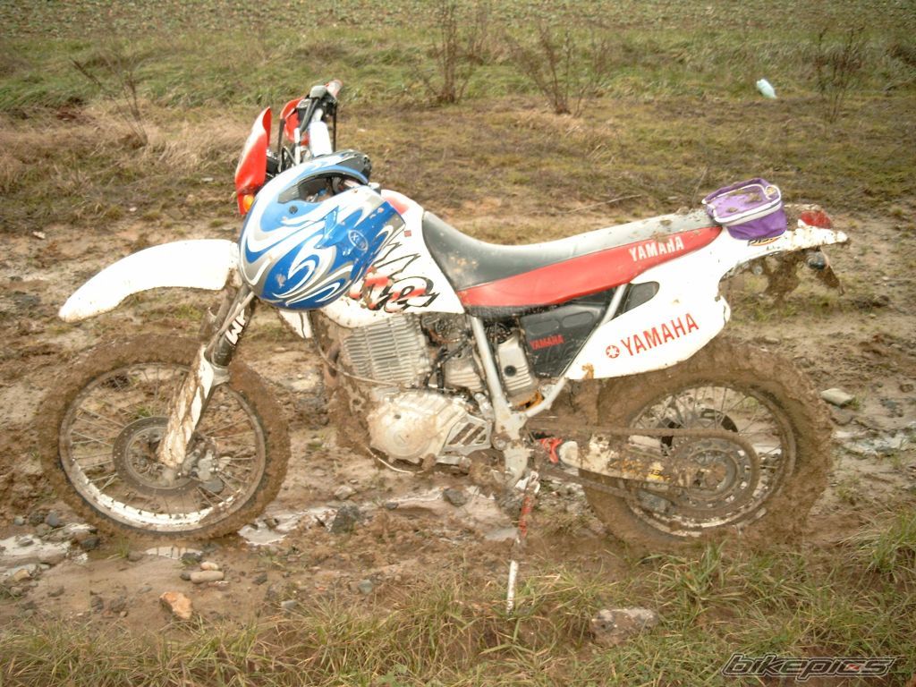Photo 1174612