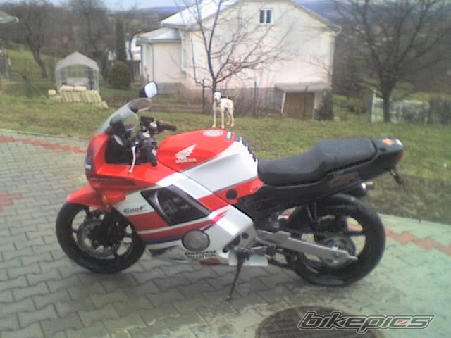 Photo 1174679