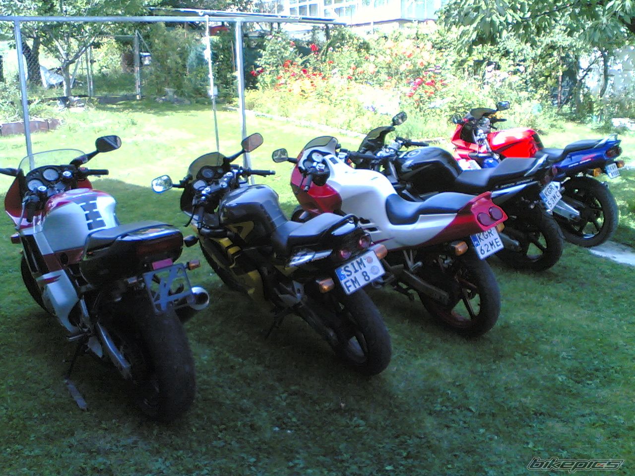 Photo 1174689