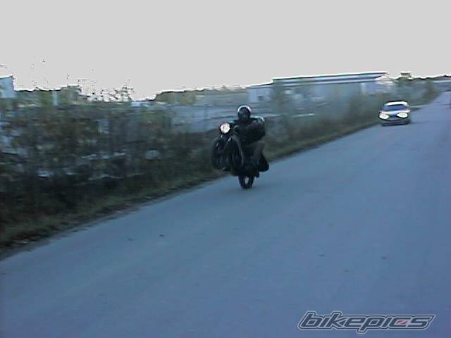 Photo 11747