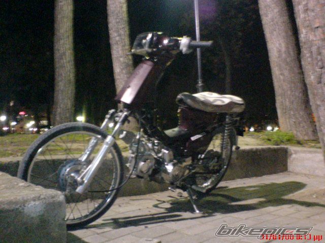 Photo 1174782