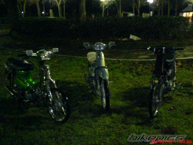 Photo 1174794
