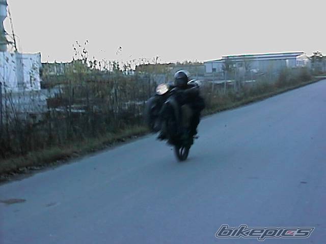 Photo 11748