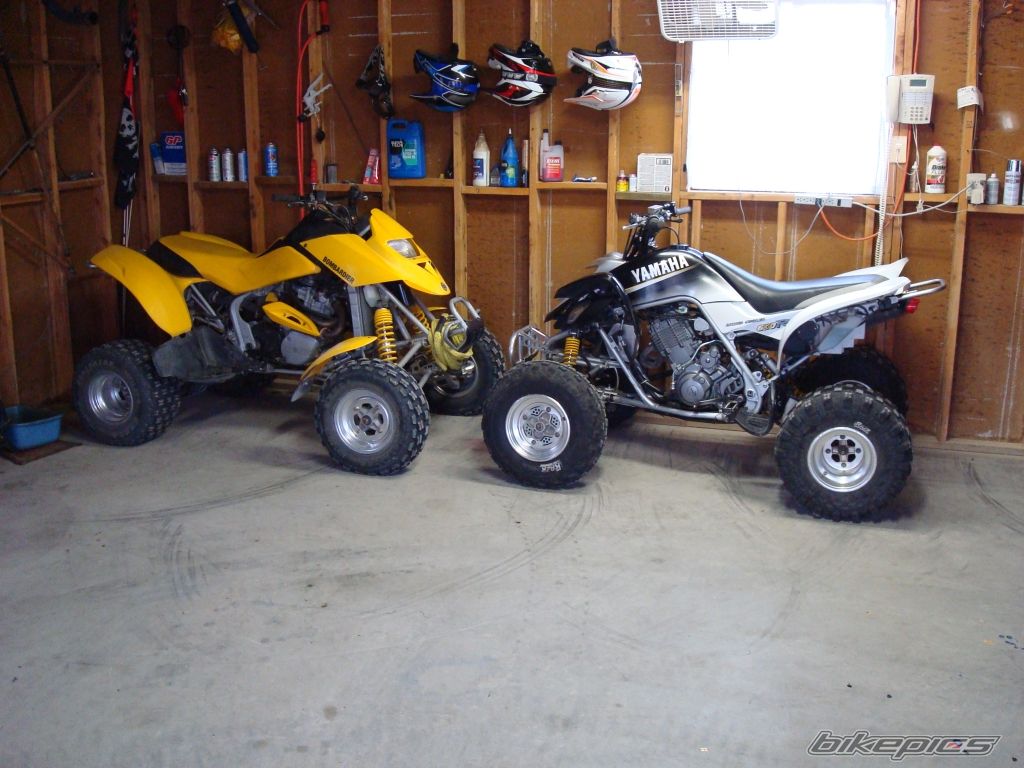 Photo 1174803