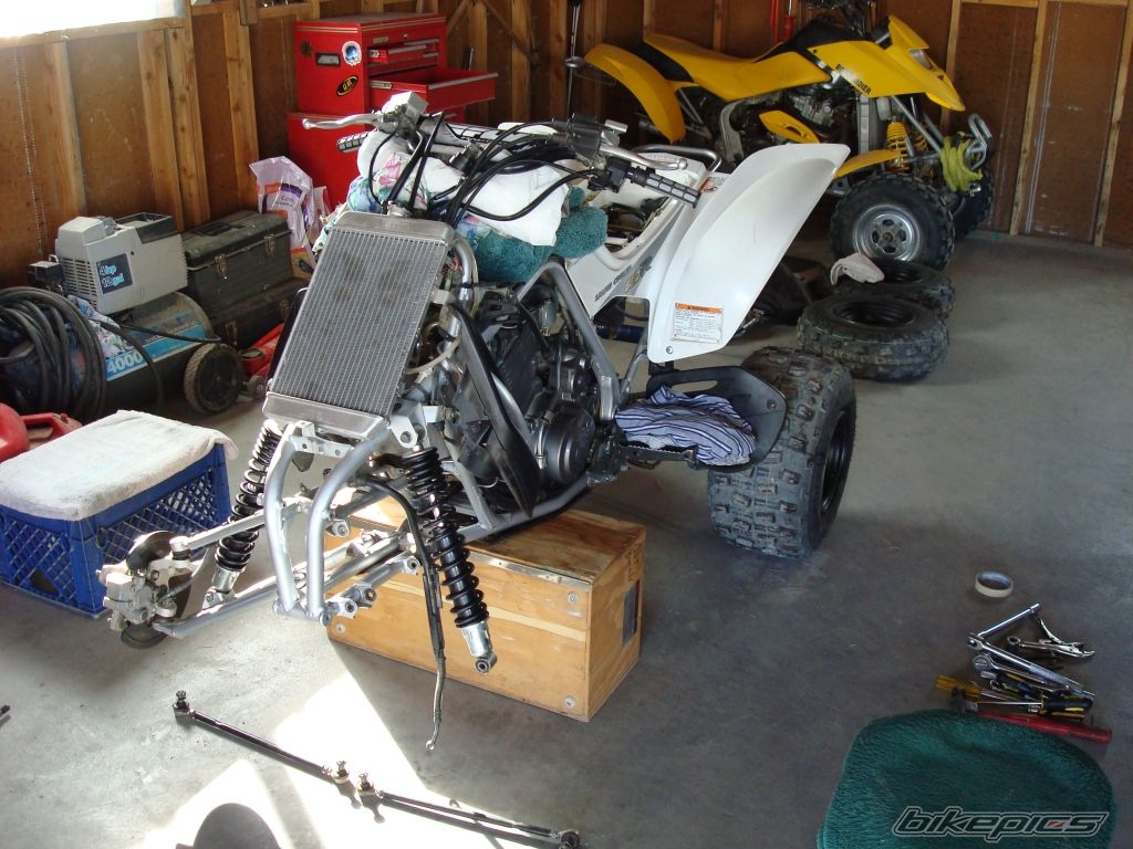 Photo 1174806