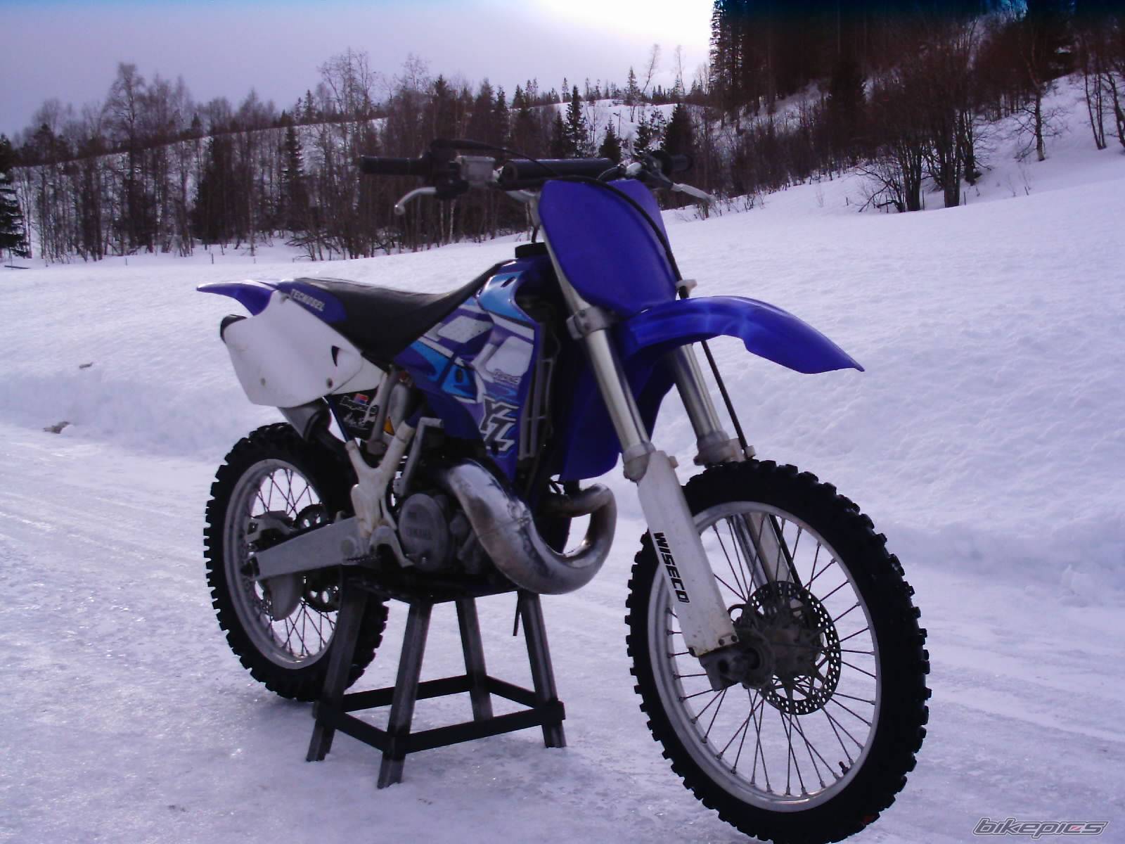 Photo 117481