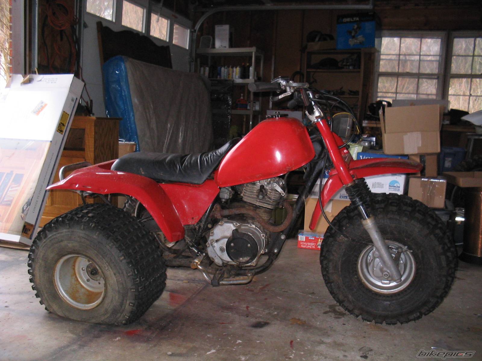 Photo 117487