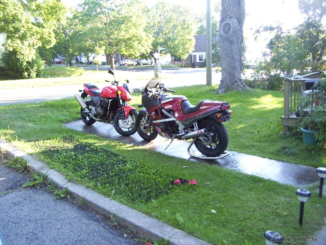 Photo 1174889
