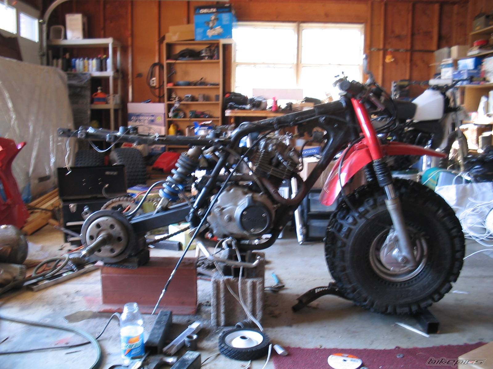 Photo 117489