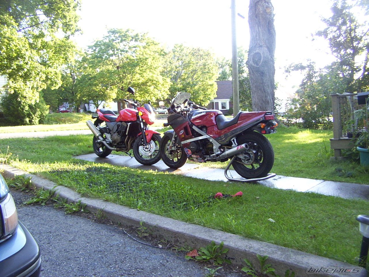 Photo 1174890