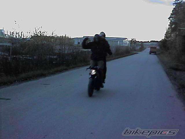 Photo 11749
