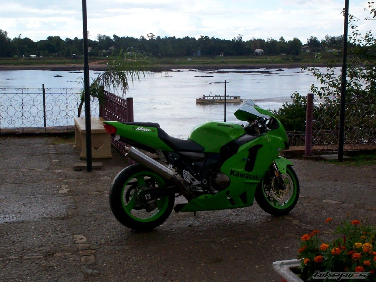 Photo 1174915