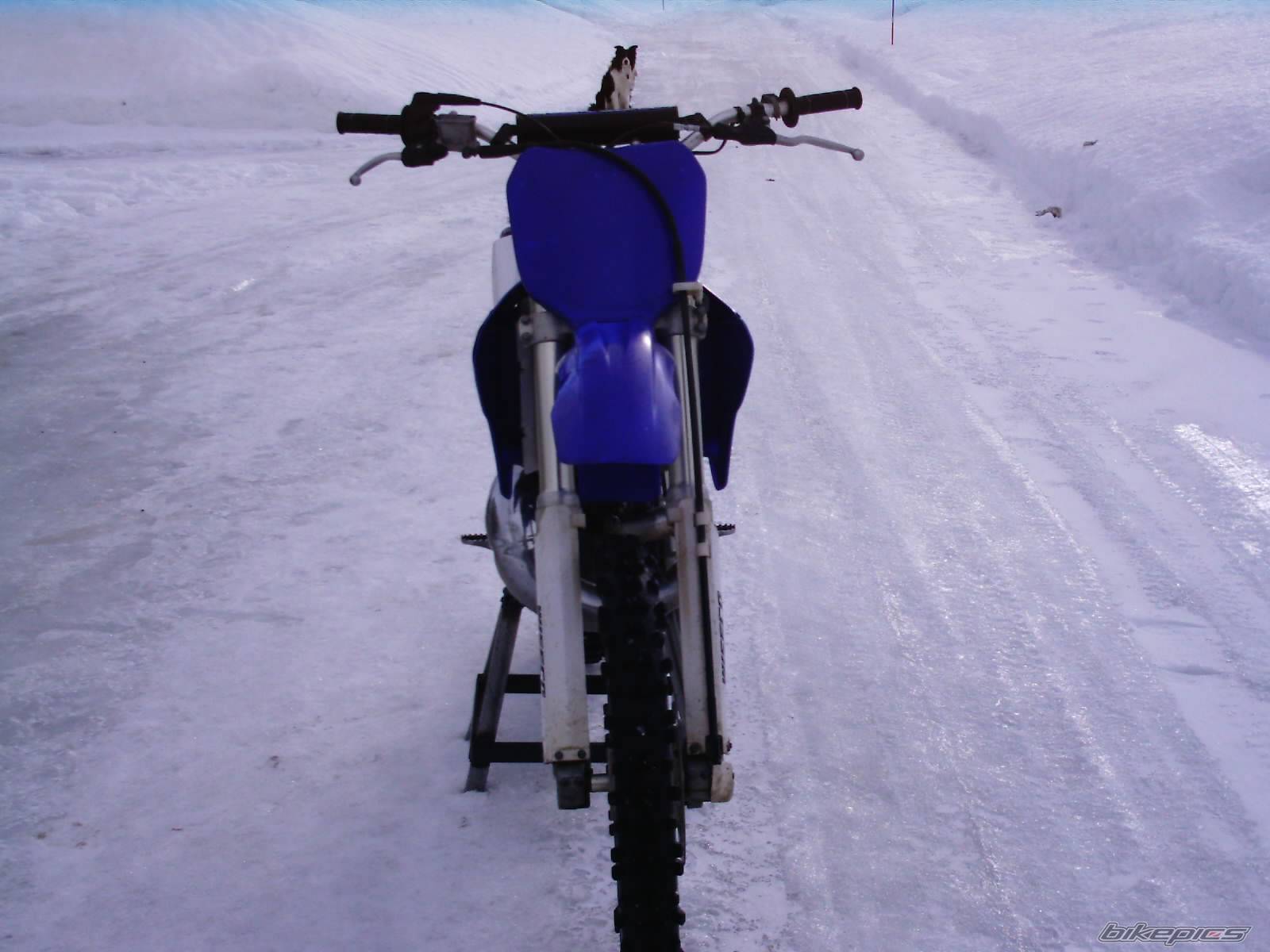 Photo 117495