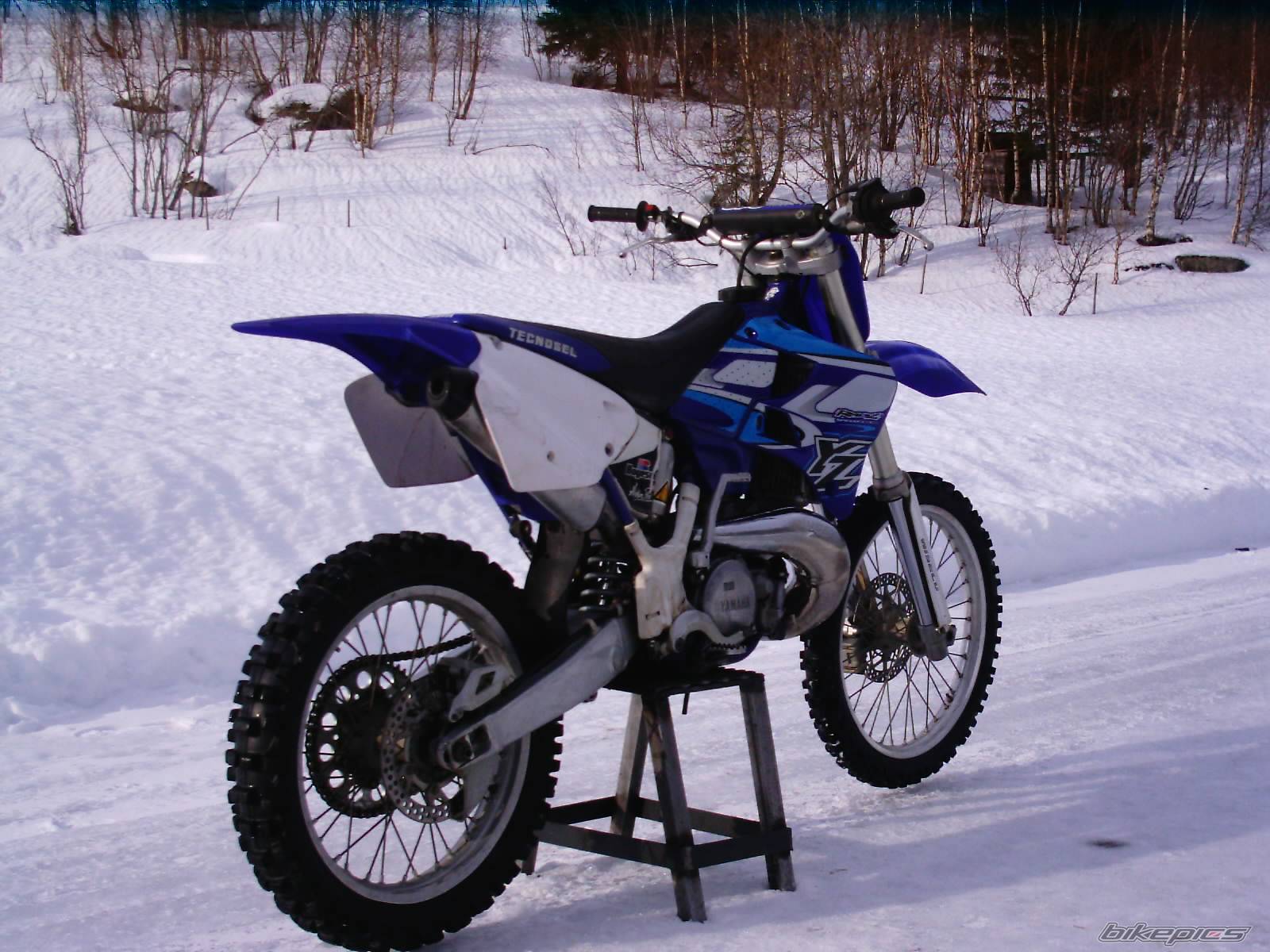 Photo 117499