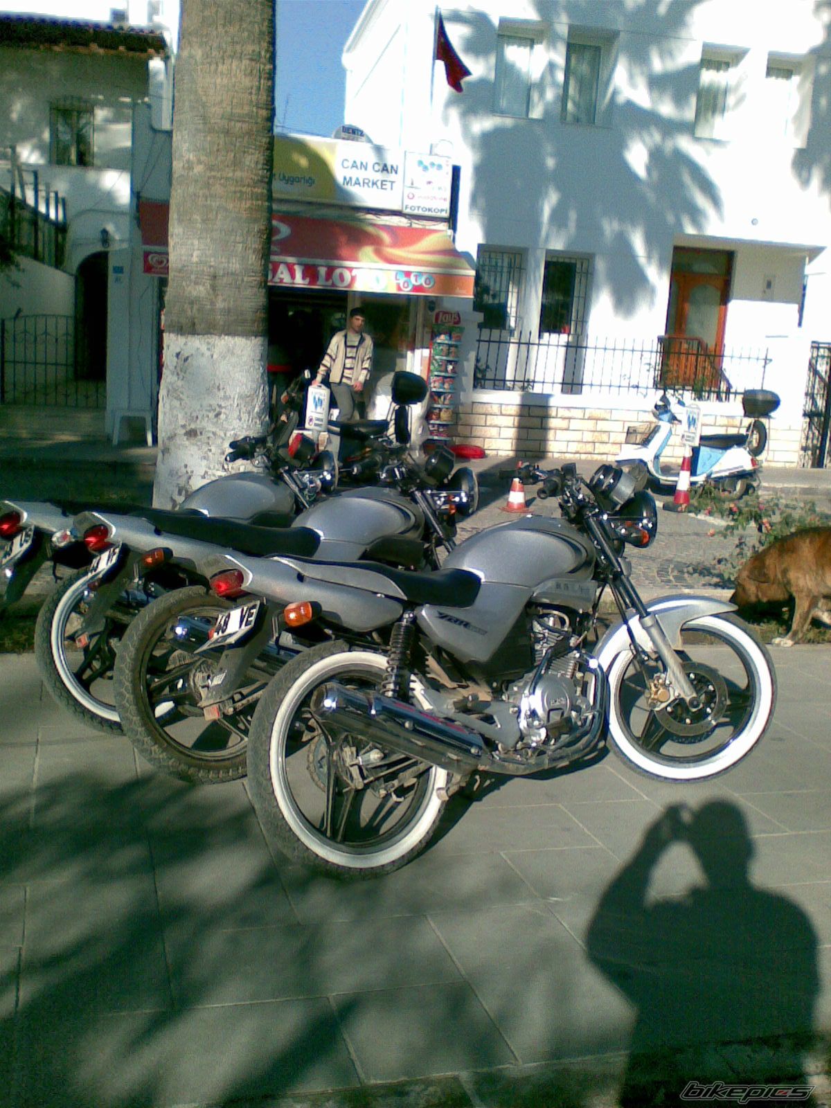 Photo 1175062