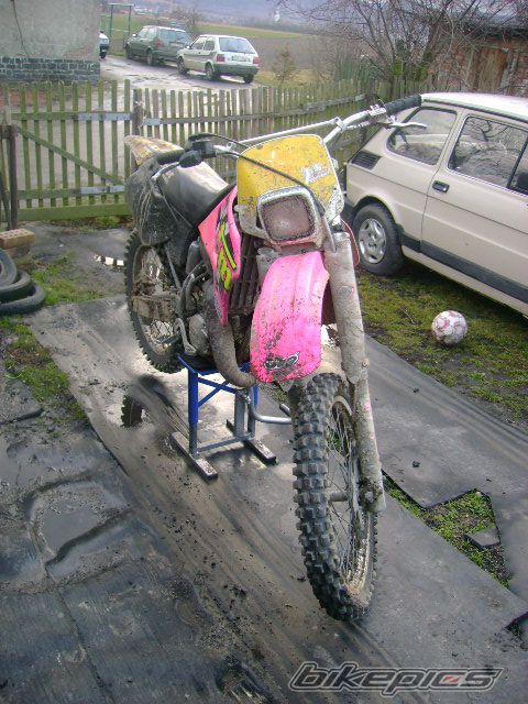 Photo 1175093