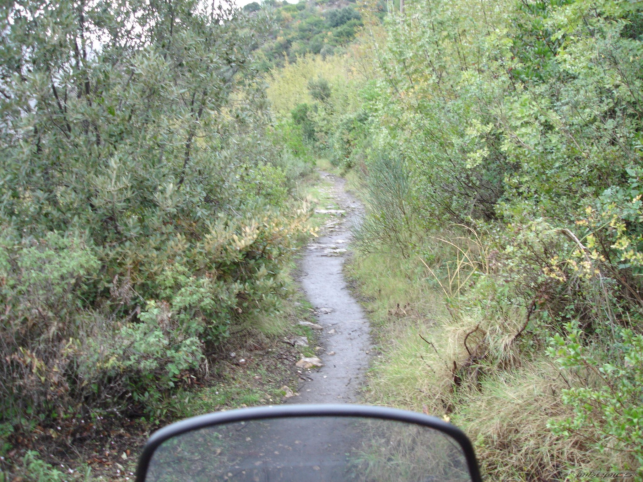 Photo 1175163
