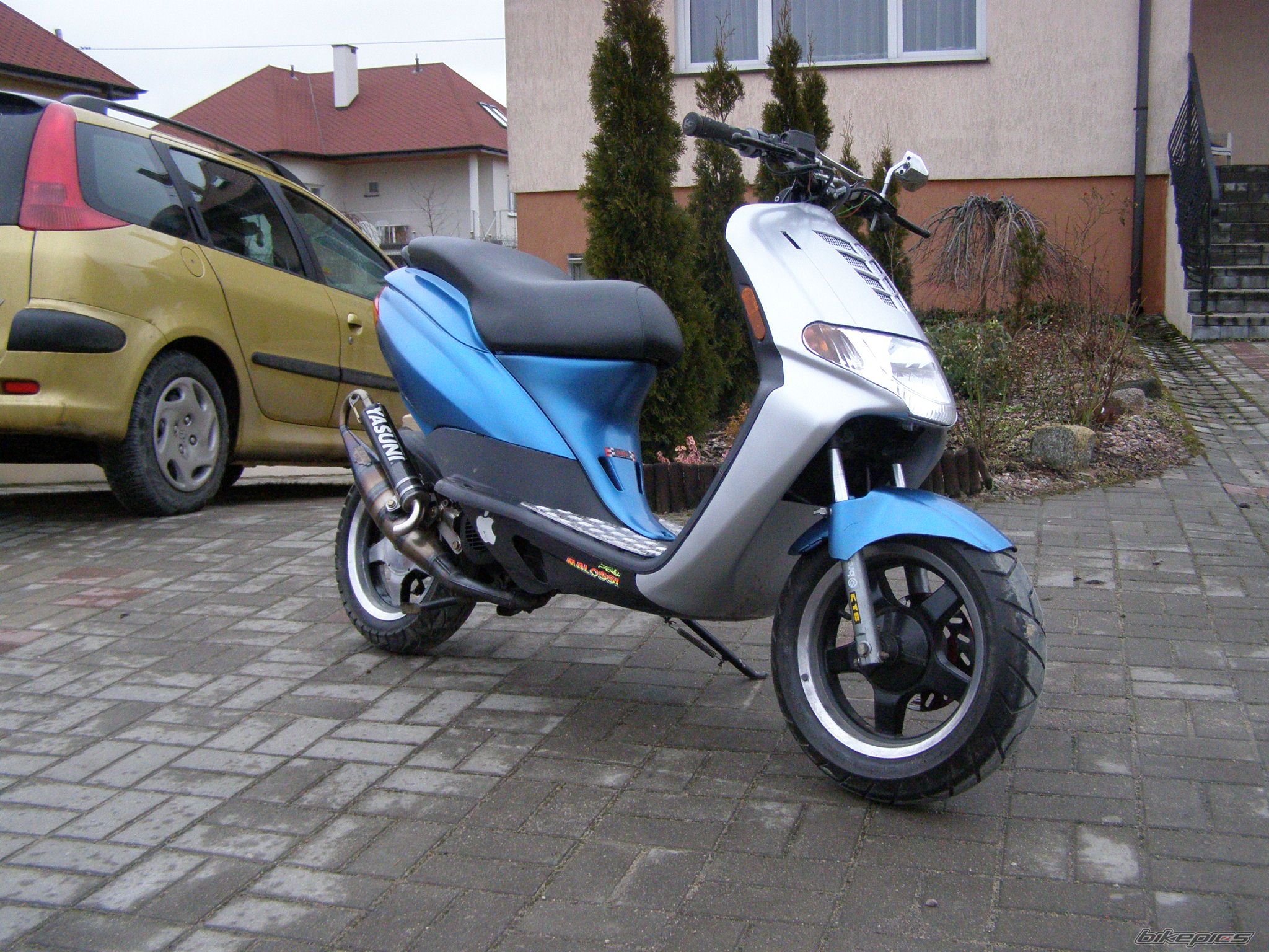 Photo 1175221