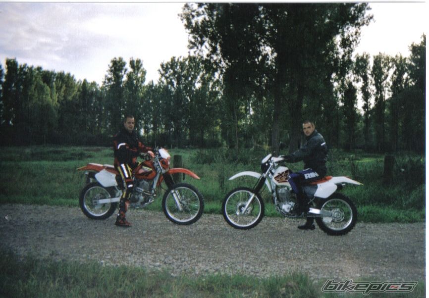 Photo 1175276