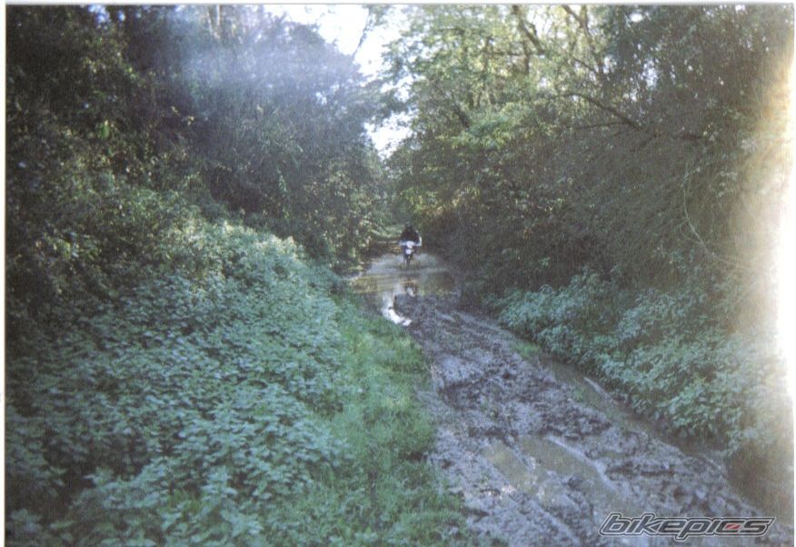 Photo 1175282