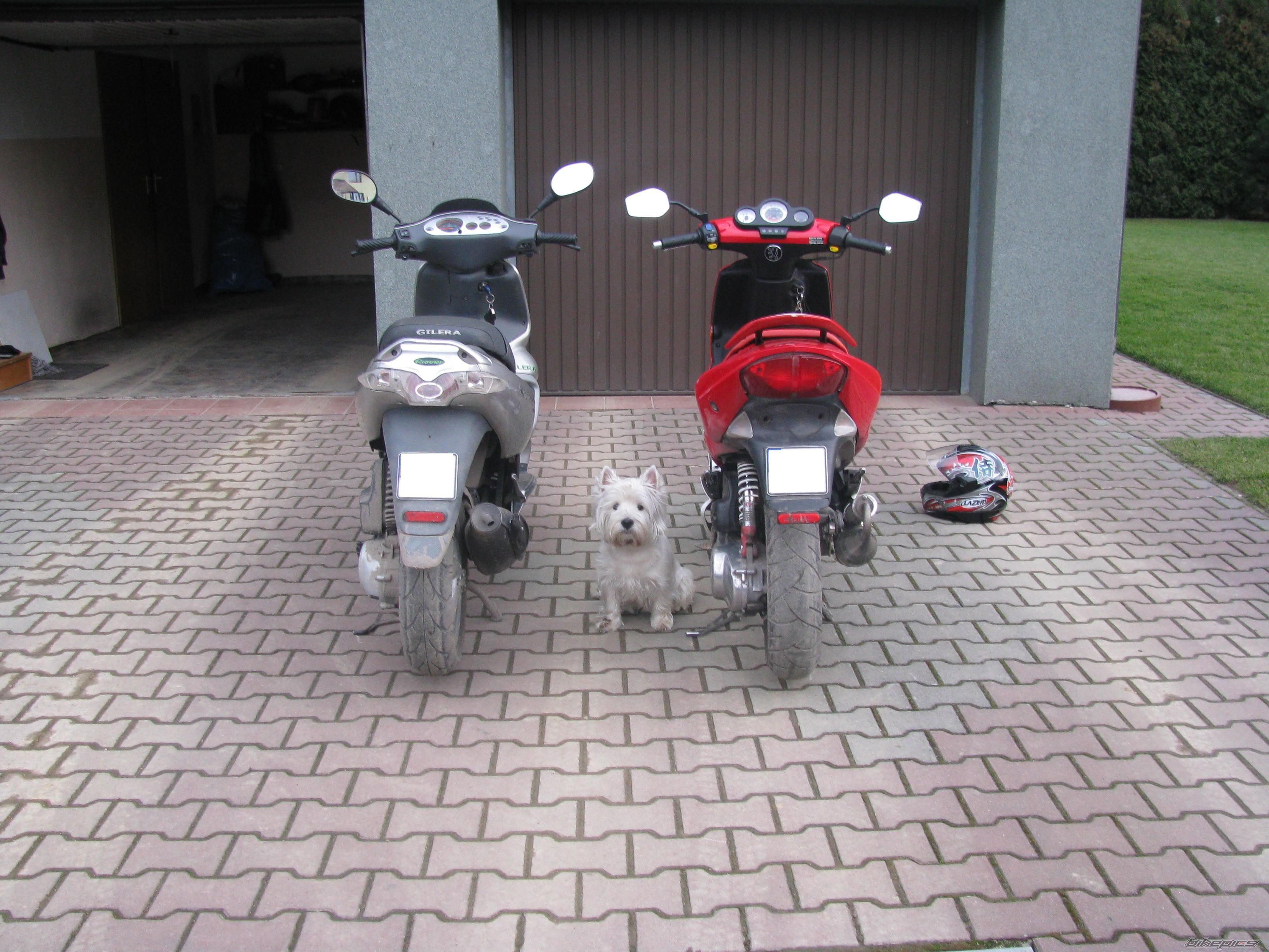 Bike Photo 1175300