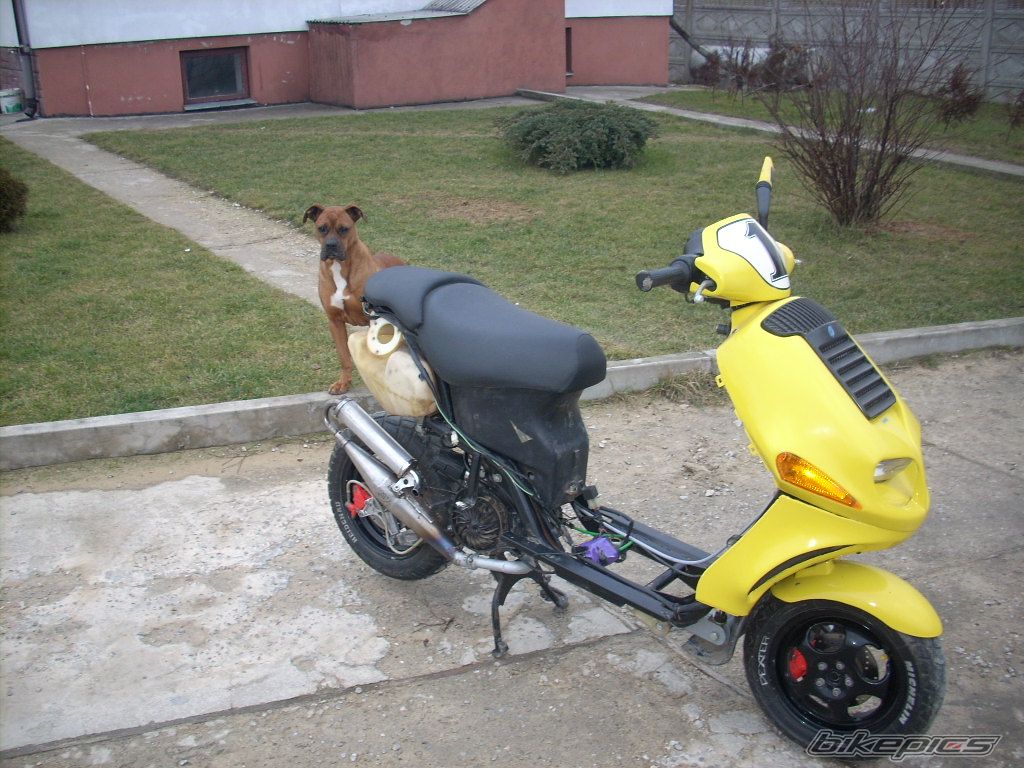 Photo 1175307