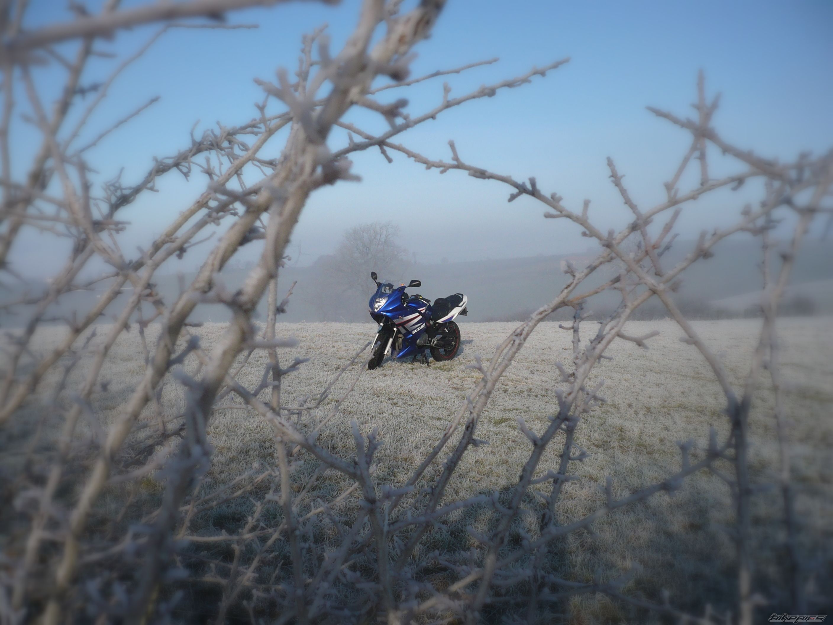 Bike Photo 1175316