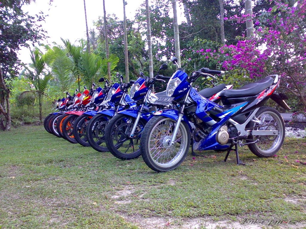 Photo 1175327