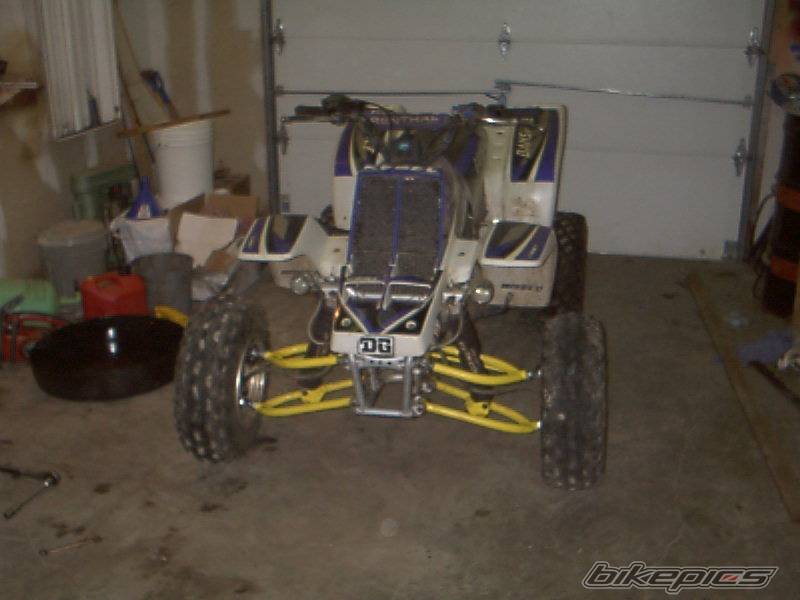Photo 117536