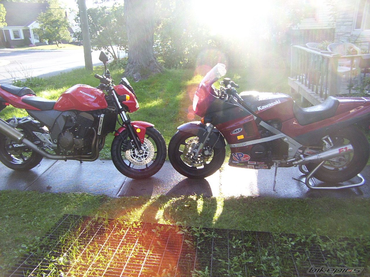 Photo 1175413