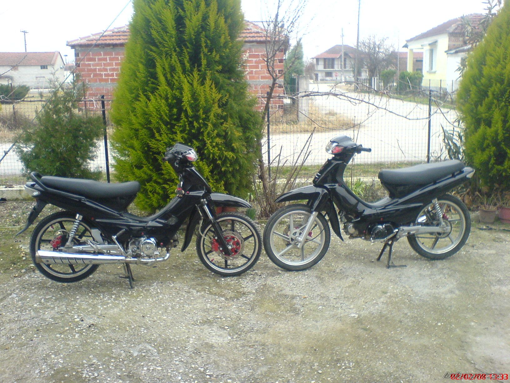 Photo 1175419