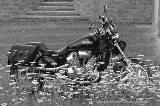 Photo 117554