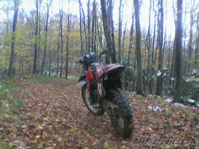 Photo 1175562