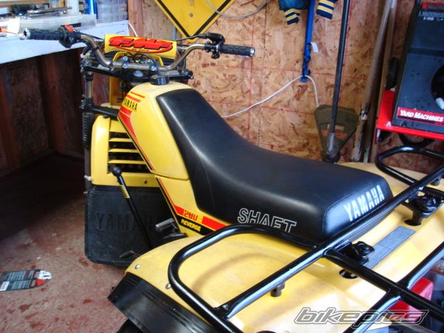 Photo 1175678