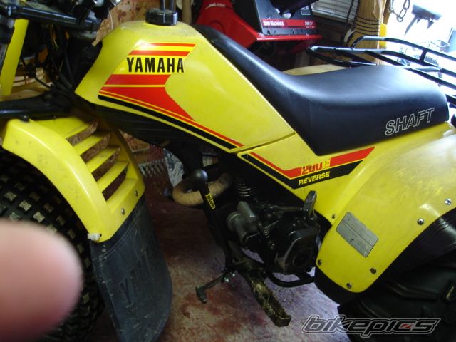 Photo 1175681