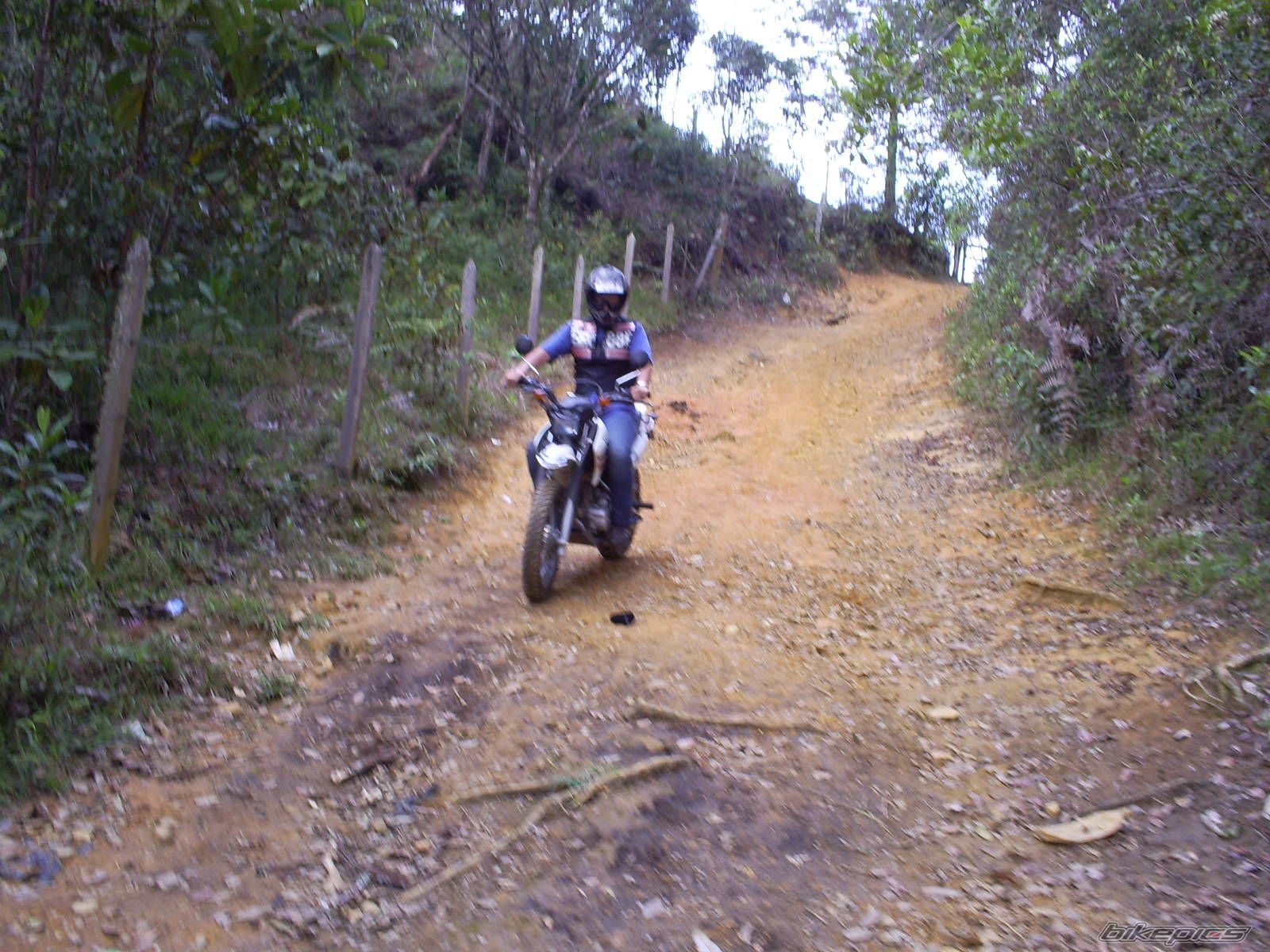 Photo 1175728