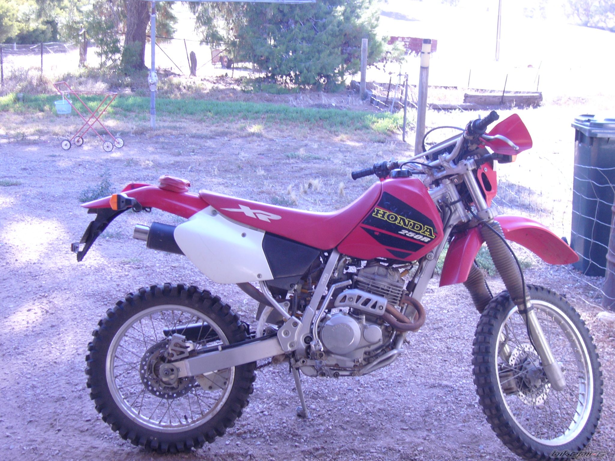 Photo 1175757