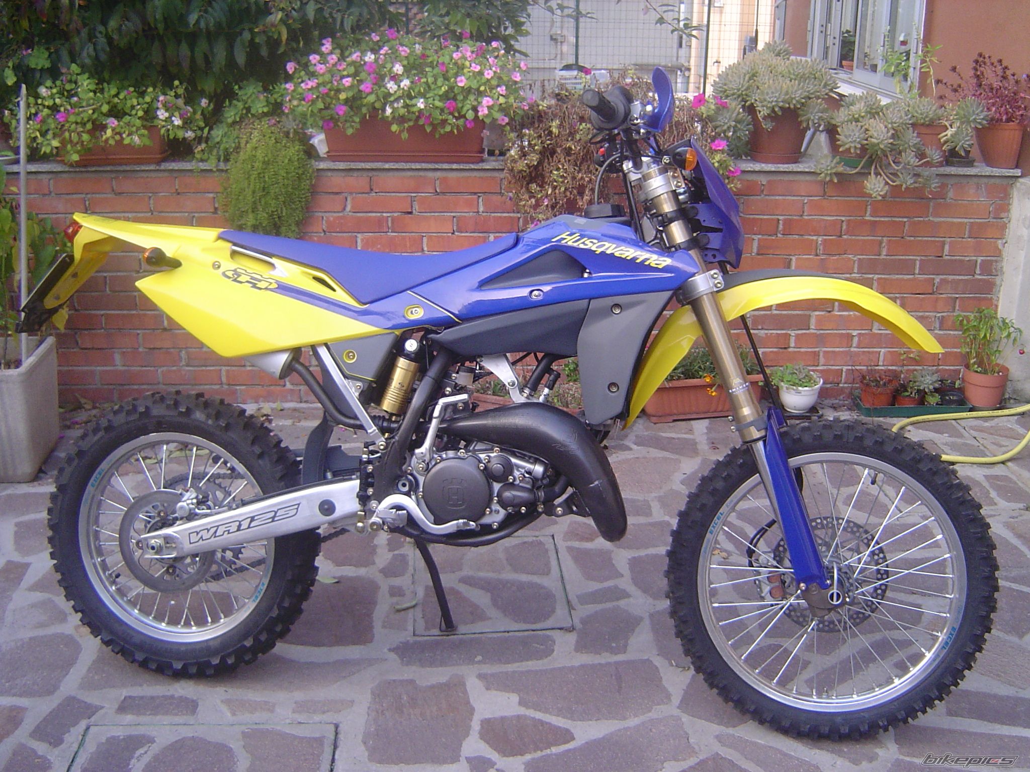 Photo 1175954
