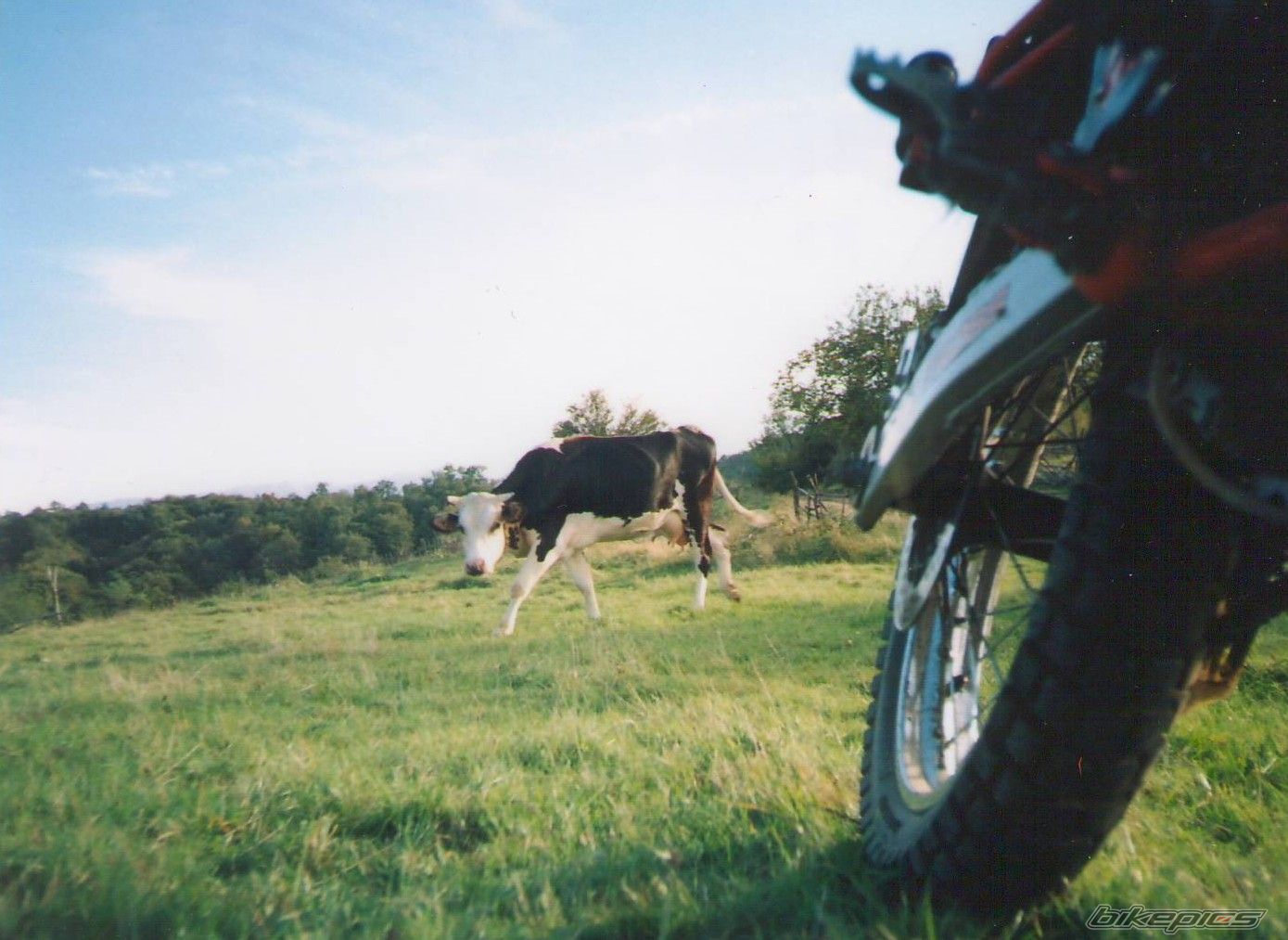 Bike Photo 1175998