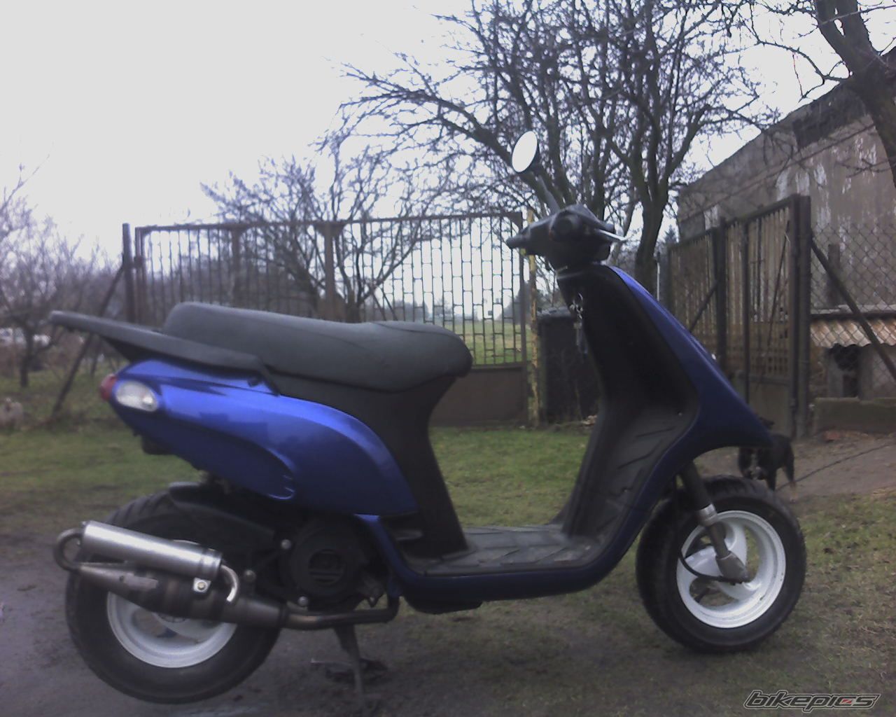 Photo 1176015