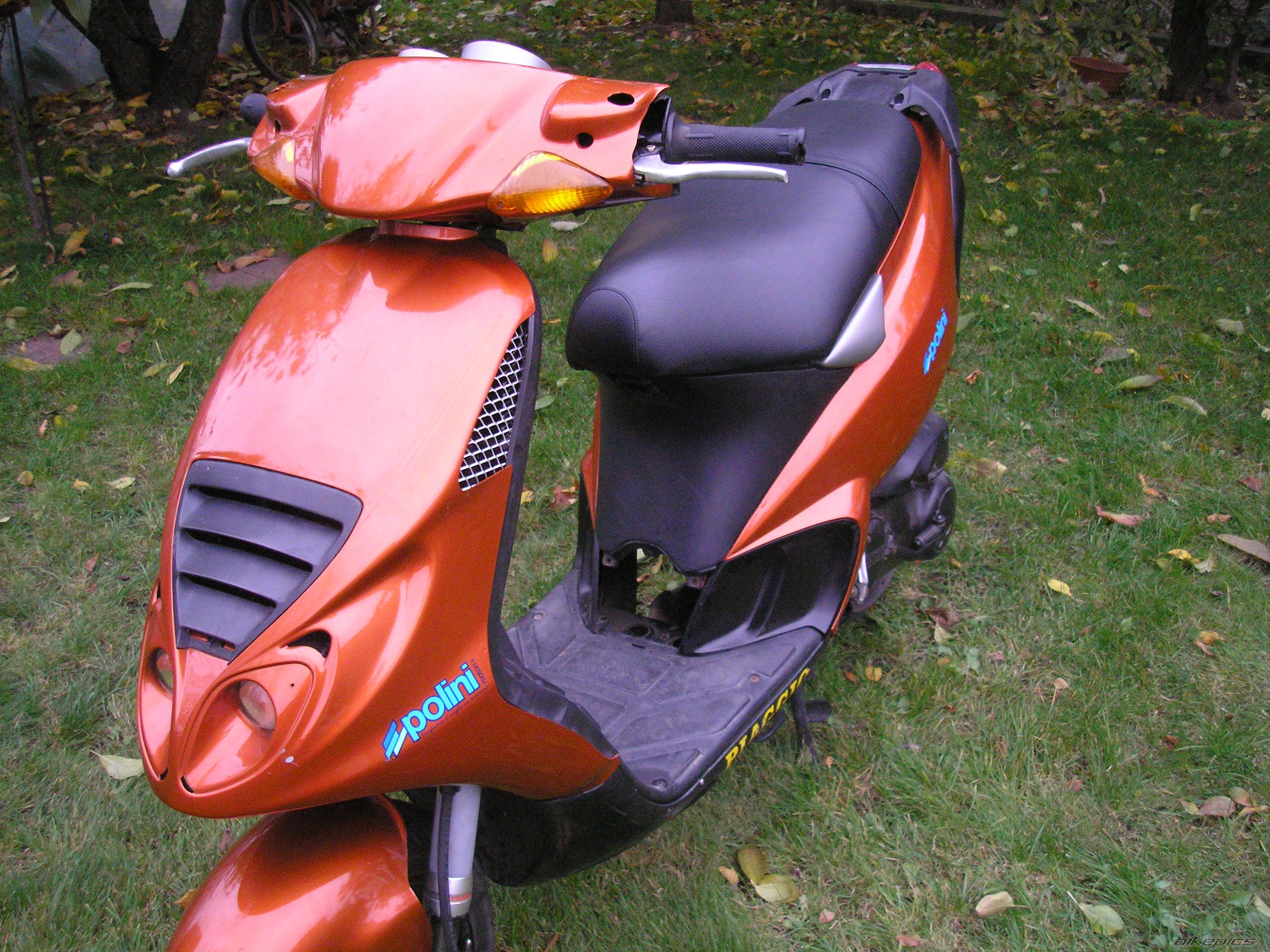 Photo 1176161