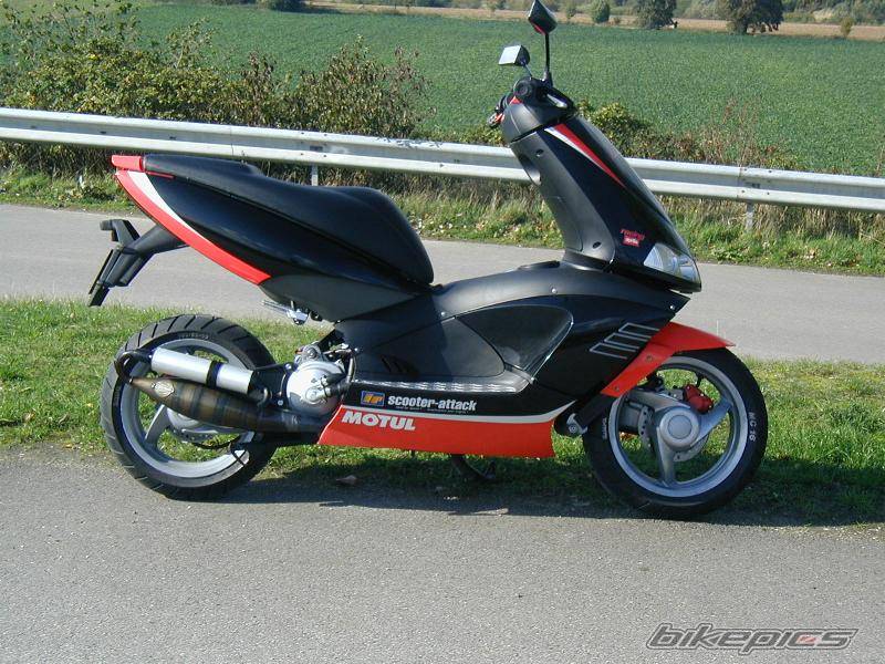 Photo 11762