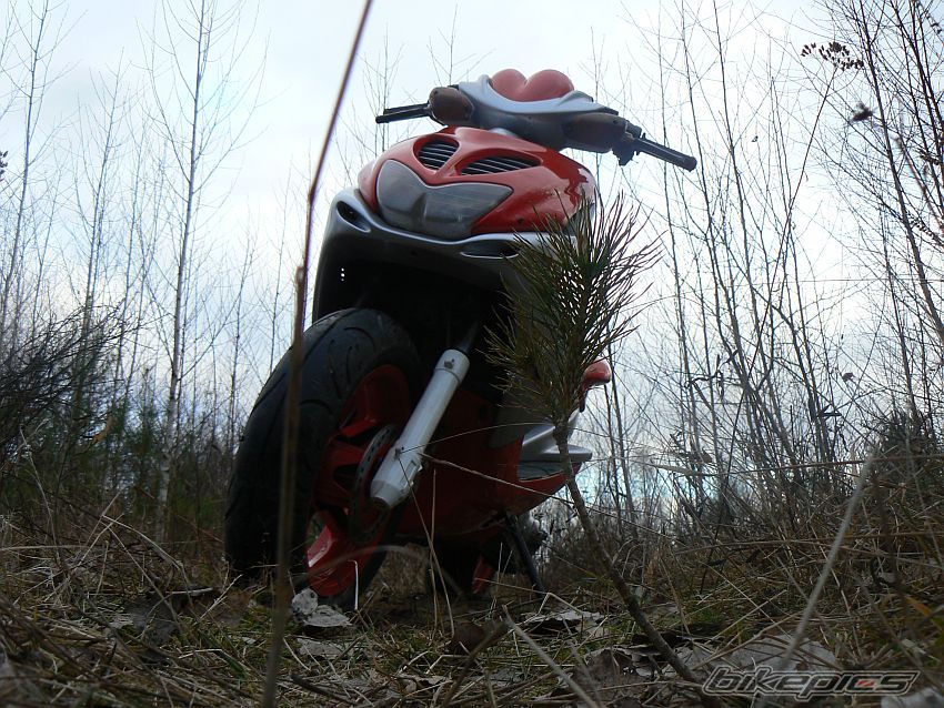 Photo 1176293